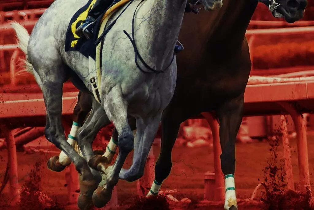 【香港スプリント2024予想】香港の短距離王者決定戦!ルガルやトウシンマカオなど出走予定馬を考察