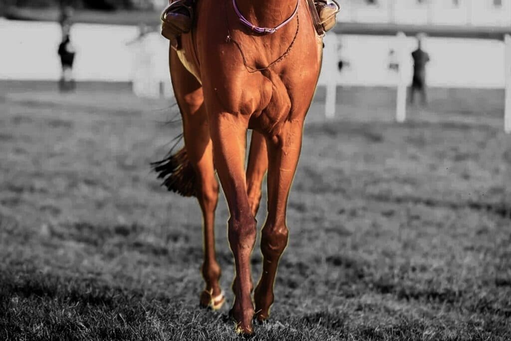 【スワンステークス2025予想】波乱呼ぶ3歳牝馬!1400mで一変期待の穴馬はこの馬だ