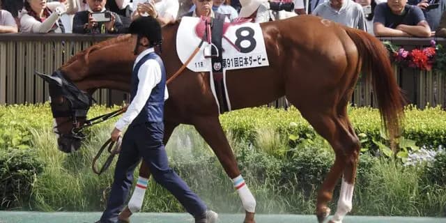 【香港ヴァーズ2025予想】菊花賞馬アーバンシック、コース適性見込めるか?