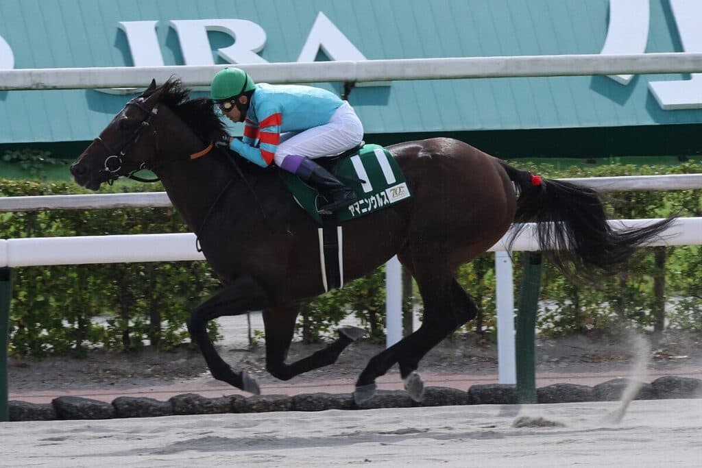 【小倉大賞典2025予想】ヤマニンウルスは危険な人気馬か、初芝への適性はいかに?