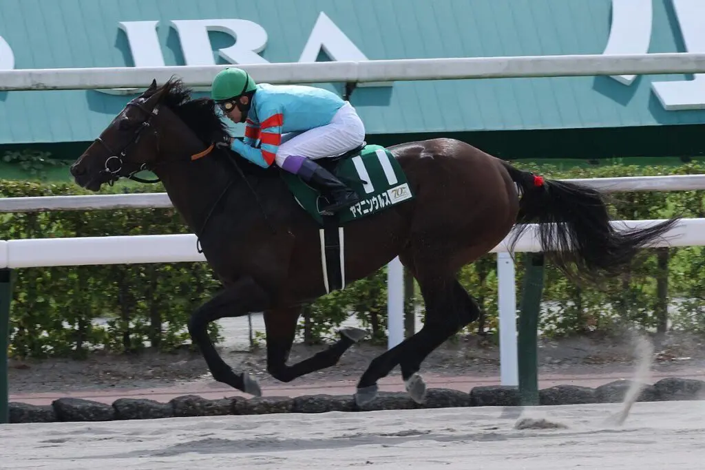 【チャンピオンズC】ヤマニンウルスは除外なら名古屋大賞典へ、鞍上は武豊騎手を予定