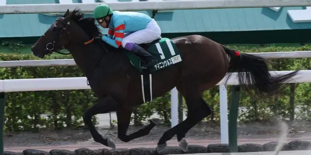 【小倉大賞典2025予想】ヤマニンウルスは危険な人気馬か、初芝への適性はいかに?