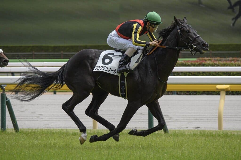 【皐月賞2025予想】無敗のG1馬クロワデュノールにとって試金石、再戦組のリベンジに要警戒