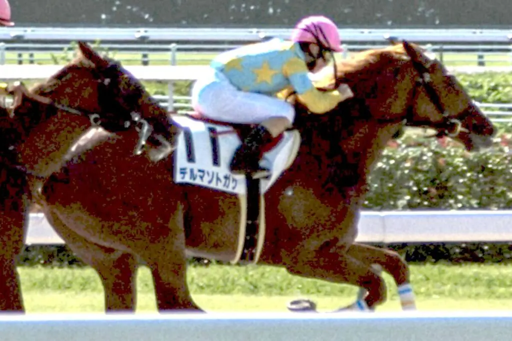 【東京大賞典2024予想】デルマソトガケの大逃げあるか?!