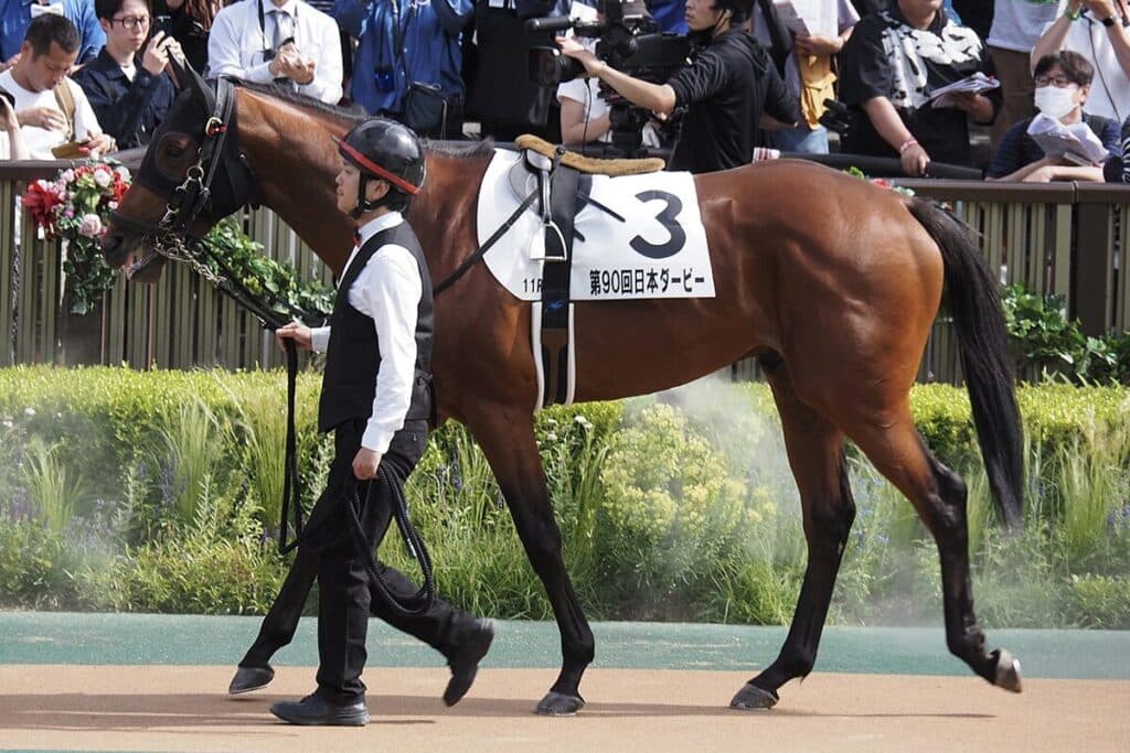 【札幌記念2025予想】洋芝無敗のホウオウビスケッツ!持久力勝負で頂点へ