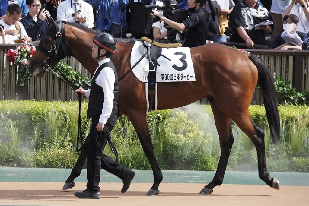 【札幌記念2025予想】洋芝無敗のホウオウビスケッツ!持久力勝負で頂点へ