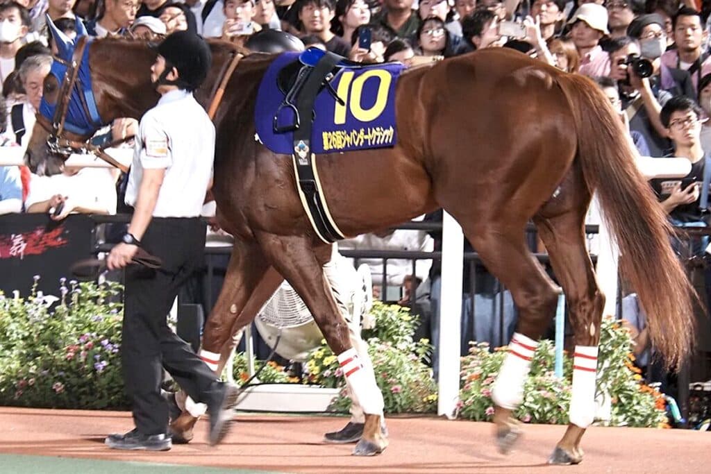 【JBCクラシック2025予想】ミッキーファイトに死角なし、初の船橋でも盤石ムード