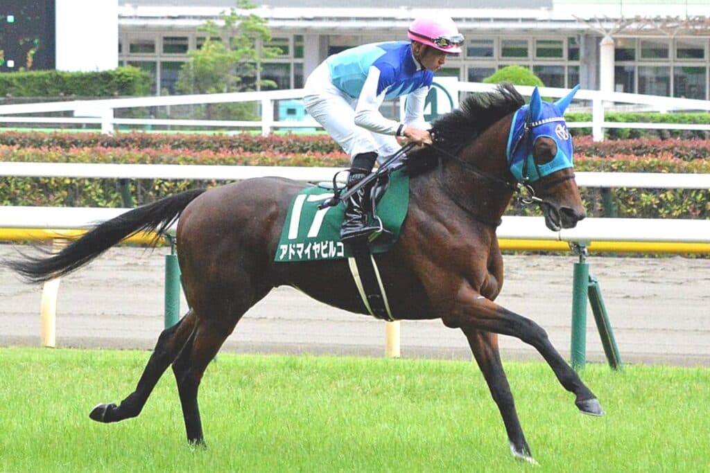 【JRA】アドマイヤビルゴが引退、今後は乗馬に