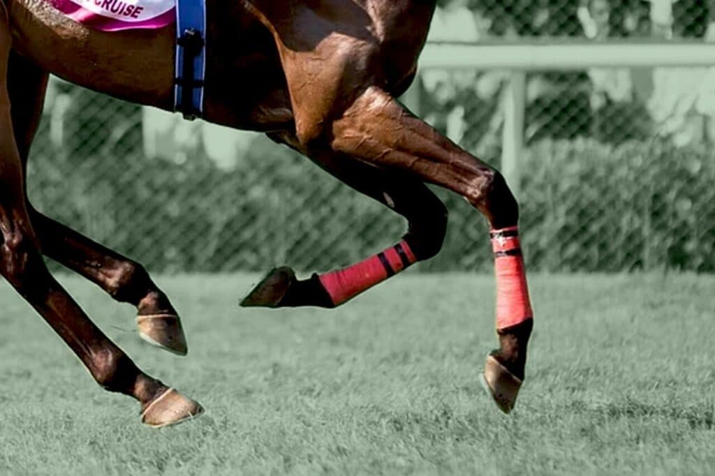 【共同通信杯2025予想】素質上位のマスカレードボール、東京1800mなら勝ち負け