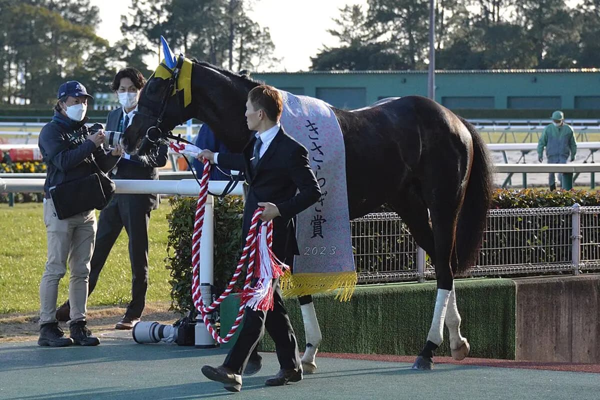 【京王杯スプリング2026予想】フリームファクシ条件好転、左回りで覚醒なるか