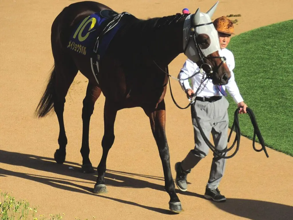 メイショウタバルは武豊騎手とのコンビでドバイターフへ