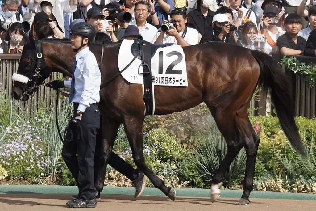【JRA】毎日王冠制したシックスペンス、次走は中山記念