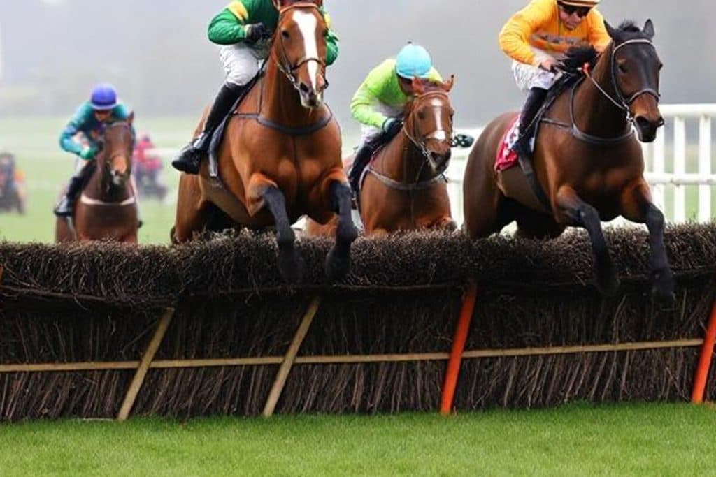 【京都ジャンプステークス予想2025】年末の大舞台へ向けた重要ステップ!ディナースタやレッドバロッサなど出走予定馬を考察