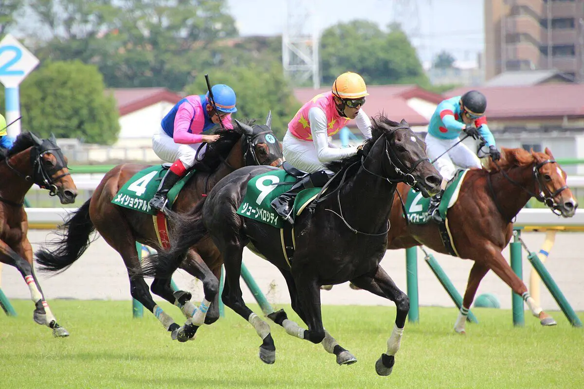 【阪神スプリングジャンプ2025予想】巻き返し期待のジューンベロシティ、過去の名馬に続け