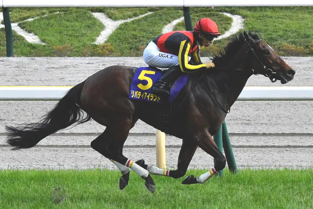 リバティアイランドはドバイターフ後は香港G1クイーンエリザベス2世Cへ