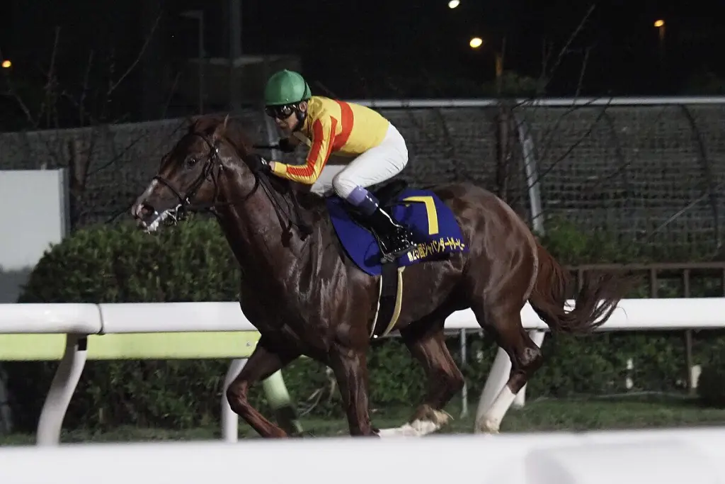 【JRA】逃げの道を貫き通したミトノオー、現役引退