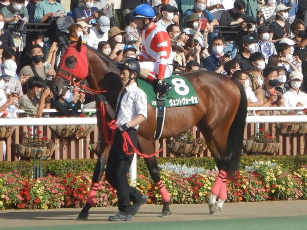【JRA】ヴェントヴォーチェは繋靱帯炎の再発で高松宮記念回避、引退へ