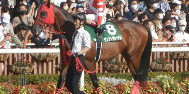 【JRA】ヴェントヴォーチェは繋靱帯炎の再発で高松宮記念回避、引退へ