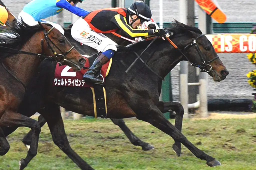 【JRA】ヴェルトライゼンデ大腿骨を骨折して急死、馬房内で転倒