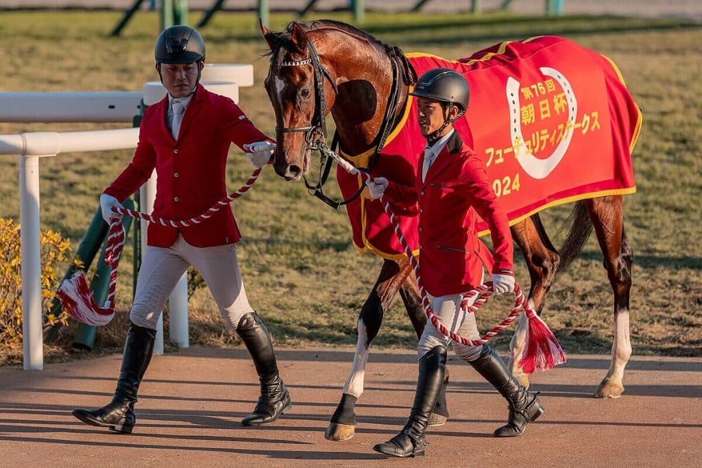 【スワンS予想2025】アドマイヤズームが1週前追い切りで自己ベストを1秒5更新する好時計をマーク