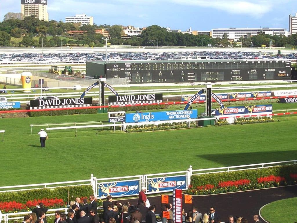 【クイーンエリザベスS予想2025】秋の中距離王を決める豪州G1!ヴィアシスティーナやローシャムパークなど出走予定馬を考察