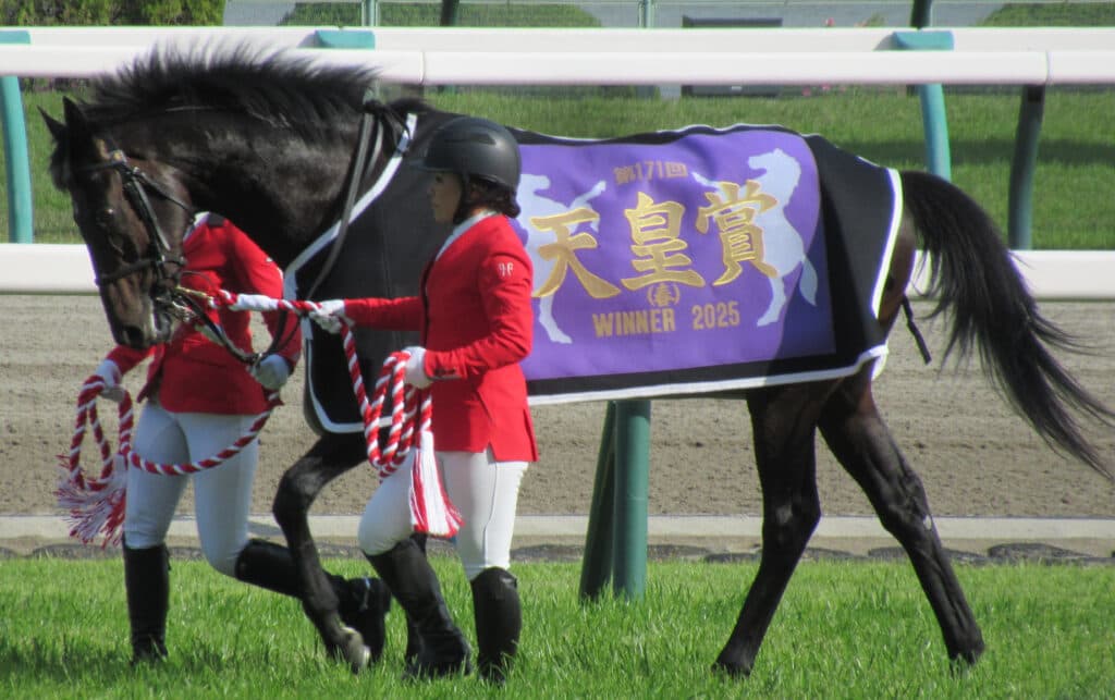 へデントールの骨折が判明、英G1インターナショナルSは見送り