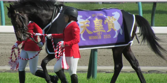 へデントールは海外遠征を断念、調整中に右トモを負傷