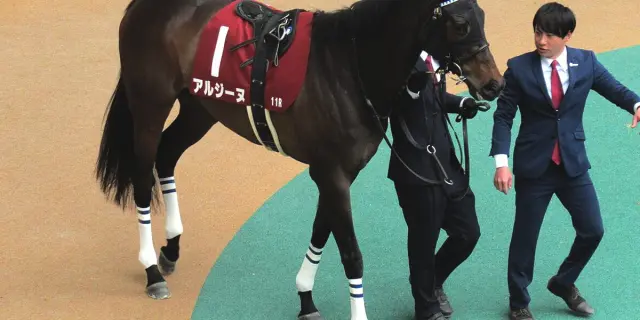 【クイーンS予想2025】挑戦者から主役へ、アルジーヌ雪辱へ万全の構え