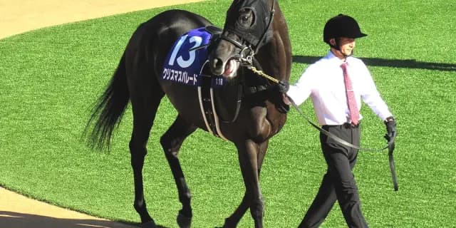 【福島記念2025予想】クリスマスパレードは戸崎圭太騎手との新コンビで反撃へ、小回り福島は好相性