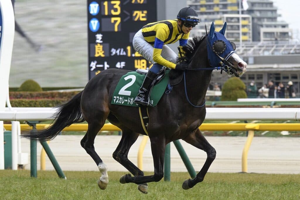 【JRA】マスカレードボールは天皇賞秋へ