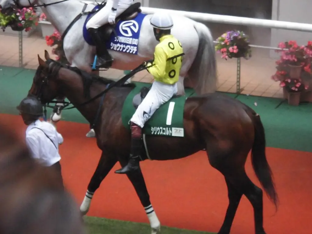 【JRA七夕賞予想】自在性と先行力で重賞連勝へ!好条件揃ったシリウスコルト