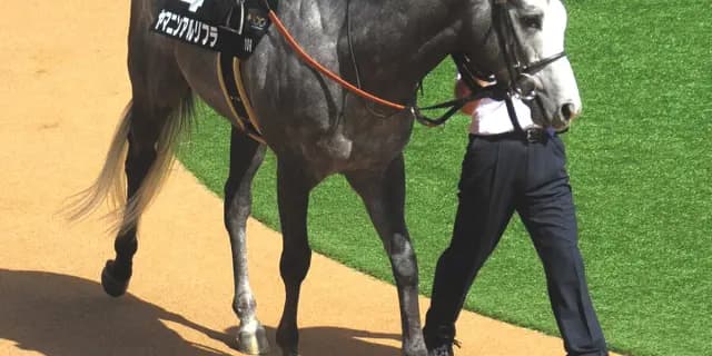 【CBC賞予想2025】短距離界の新星ヤマニンアルリフラ、サマースプリント王手の一戦へ