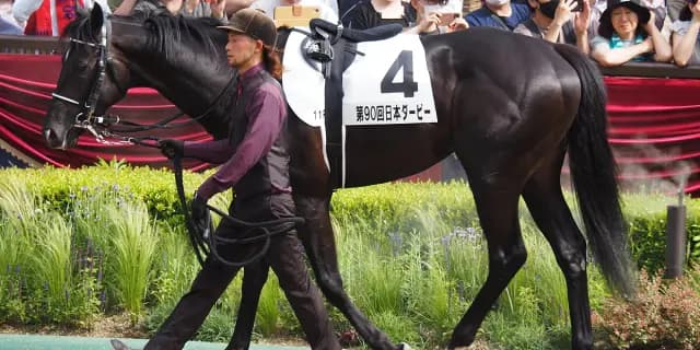 【JRA】トップナイフが再び戦線離脱、屈腱炎で9カ月以上の休養見通し
