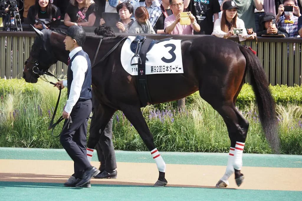 【菊花賞2025予想】「距離は問題なし」川田将雅が太鼓判!主役は前哨戦Vのエリキング
