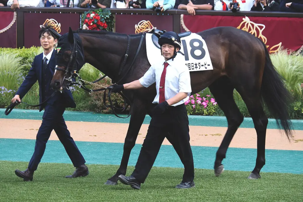 【毎日王冠2025予想】好データが後押しする3歳馬のサトノシャイニング、古馬の壁を打ち破れるか?