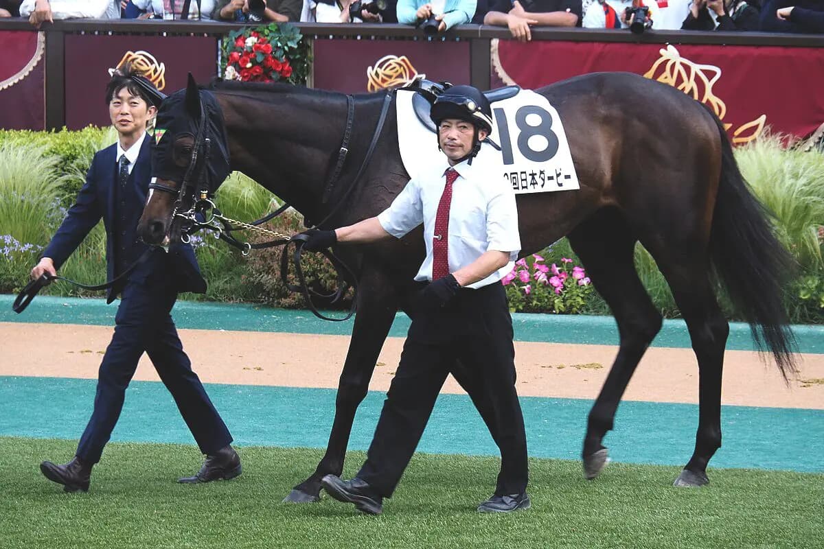 【毎日王冠2025予想】好データが後押しする3歳馬のサトノシャイニング、古馬の壁を打ち破れるか?