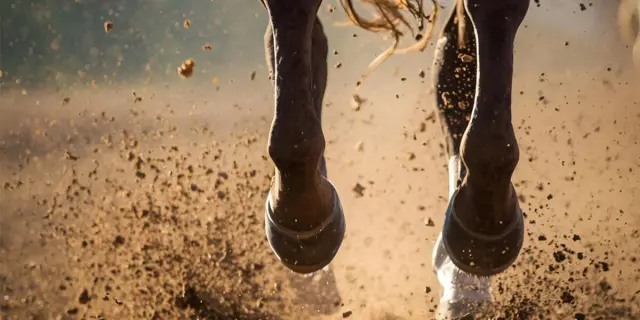 【東京2歳優駿牝馬2025予想】大晦日の主役はこの馬だ!前哨戦完勝のアンジュルナ