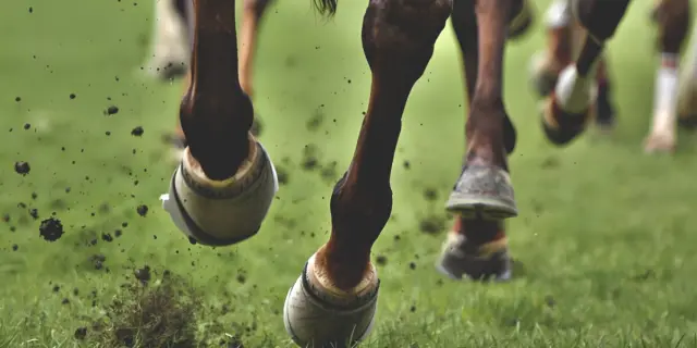 【カーバンクルS予想2026】アメリカンステージ、久々の芝でも地力は上位