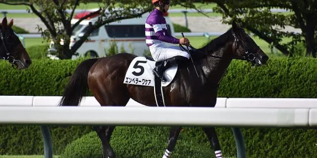 【根岸S予想2026】エンペラーワケア、実績&適性ともに上位