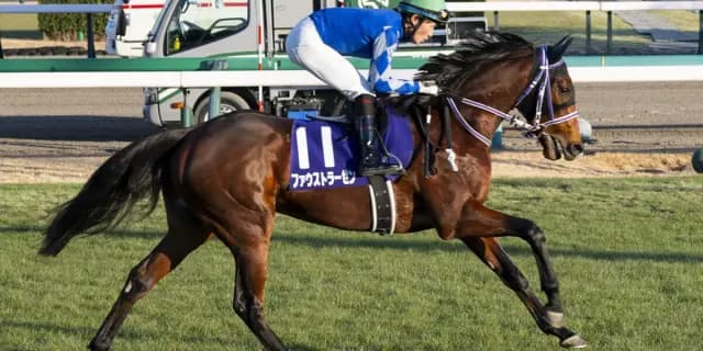 【アメリカジョッキークラブ2026予想】充実4歳世代の刺客、中山巧者ファウストラーゼン