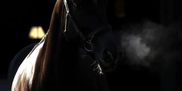 【シルクロードS予想2026】本格化気配のレイピア、今の京都はベスト舞台