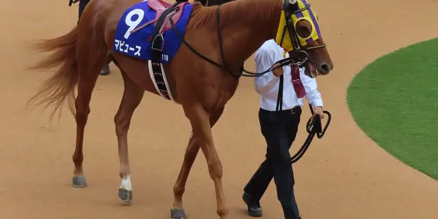 【根岸S予想2026】マピュース1週前追い切り軽快、ダートでの変わり身期待