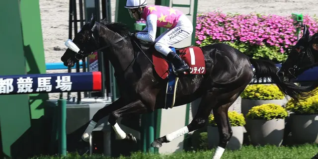 【京都記念2026予想】復調気配漂うジューンテイク、得意舞台で反撃期す