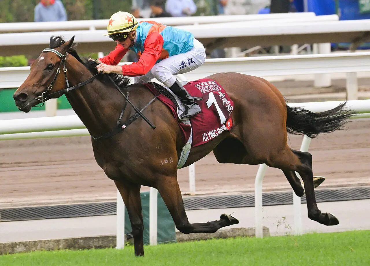 【クイーンズシルバージュビリーC2026】香港スプリント界の絶対王者カーインライジング、歴史塗り替える18連勝の快挙