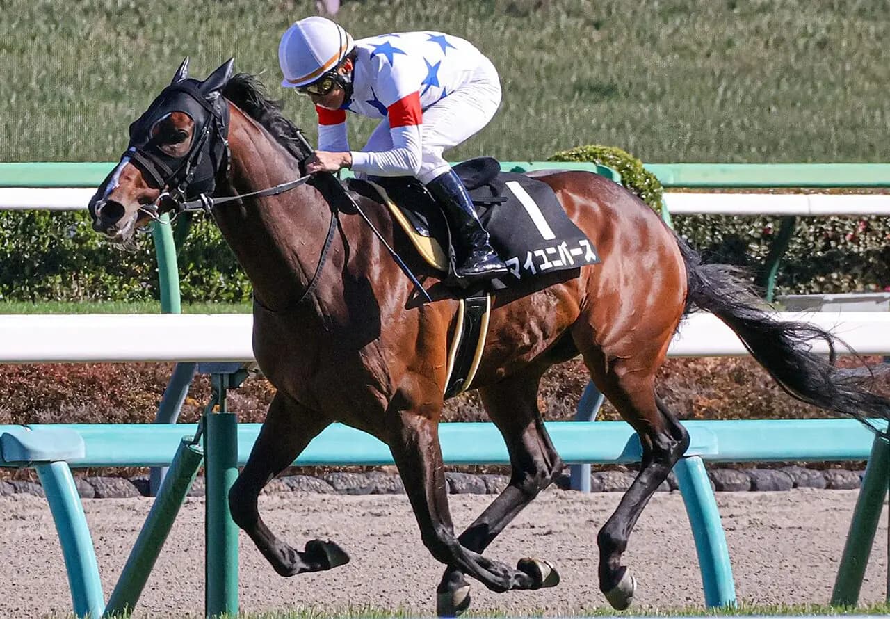 【JRA】マイユニバースが天皇賞春を回避、次走は宝塚記念へ照準