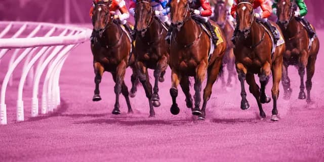 【阪神牝馬ステークス予想2026】ヴィクトリアマイルの前哨戦!エンブロイダリーやカムニャックなど出走予定馬を考察