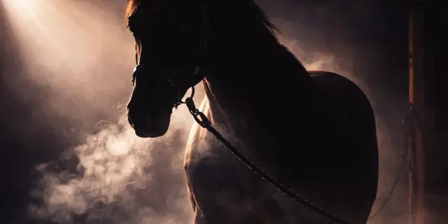 【ニュージーランドT予想2026】ロデオドライブは確勝級か?ラップが示す大物感