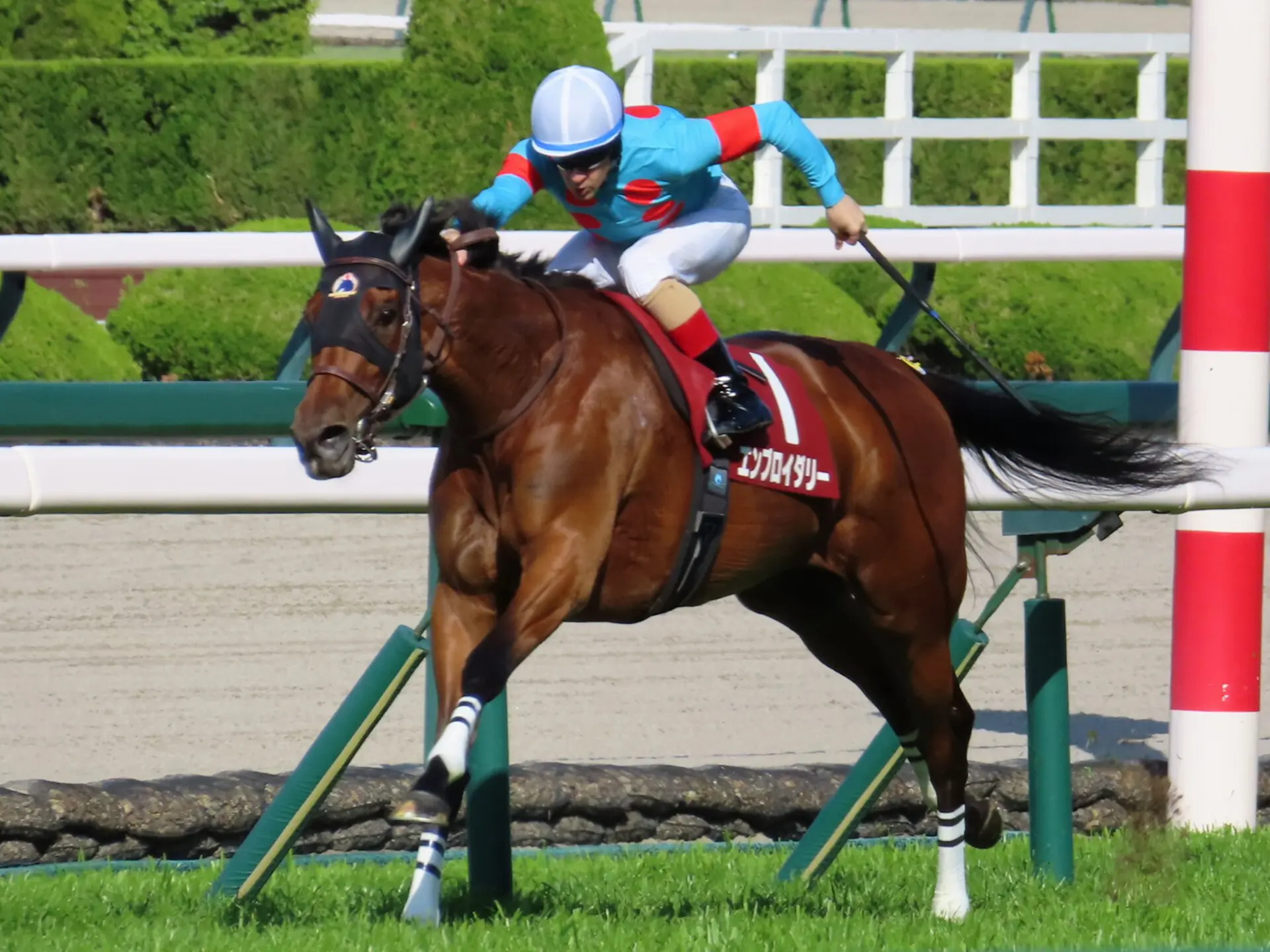 【ヴィクトリアマイル回顧】エンブロイダリー三冠目!人気馬による超高速決着