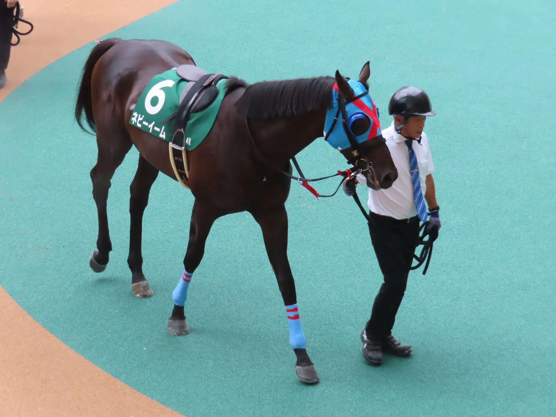 【京都ハイジャンプ2026予想】京都巧者ネビーイームが主役、大舞台へ向け負けられない一戦