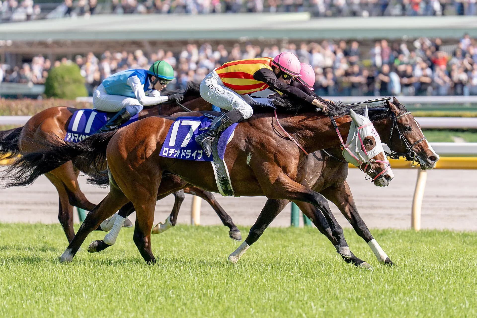 【NHKマイルカップ回顧】3歳マイルに新星登場!ロデオドライブは初の重賞勝利がG1に